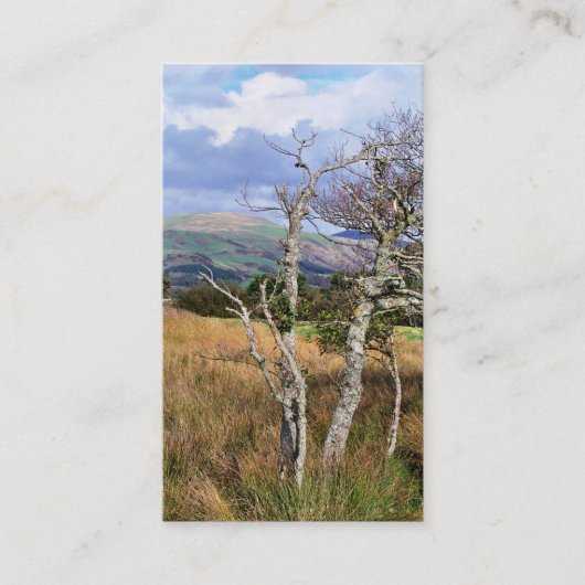 WALANSICHT VISITENKARTE (Vorderseite)