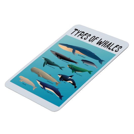 Walarten Säugetierarten Magnet (Linke Seite)