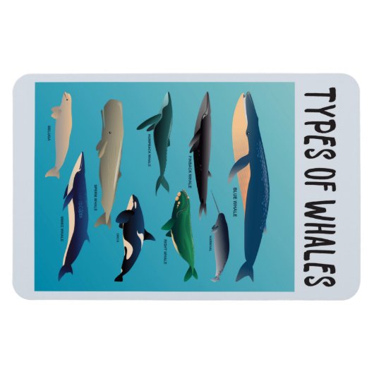 Walarten Säugetierarten Magnet (Horizontal)