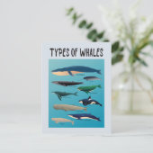 Walarten Säugetierarten Postkarte (Stehend Vorderseite)