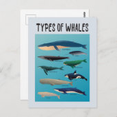 Walarten Säugetierarten Postkarte (Vorne/Hinten)
