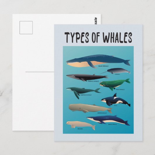 Walarten Säugetierarten Postkarte (Vorne/Hinten)