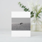 Walbeobachtung - Südlicher Rechtwal Postkarte (Stehend Vorderseite)