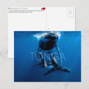 Walbeobachtung, Tonga Reise-Postkarte Postkarte