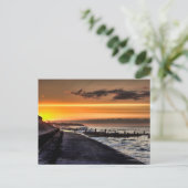 Walcott Promenade Postkarte (Stehend Vorderseite)
