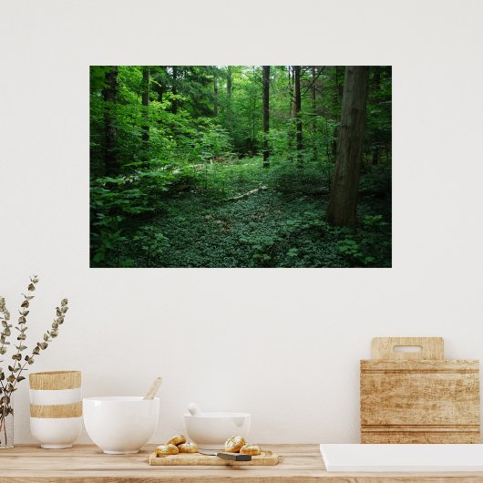 Wald3 Poster (Küche)