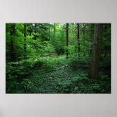 Wald3 Poster (Vorne)