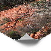 Wald am Dom Poster (Ecke)