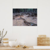 Wald auf dem Berg Kurama Poster (Küche)