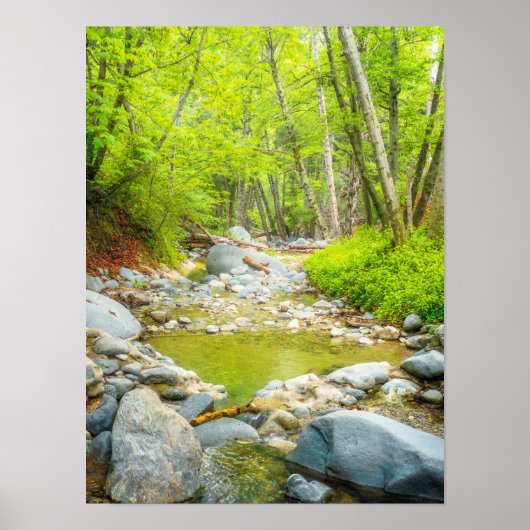 Wald Bach Fotoabzug | Grüne Waldkunst Poster (Vorne)