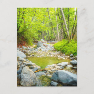Wald Bach Natur Landschaftsfoto Kunst Postkarte