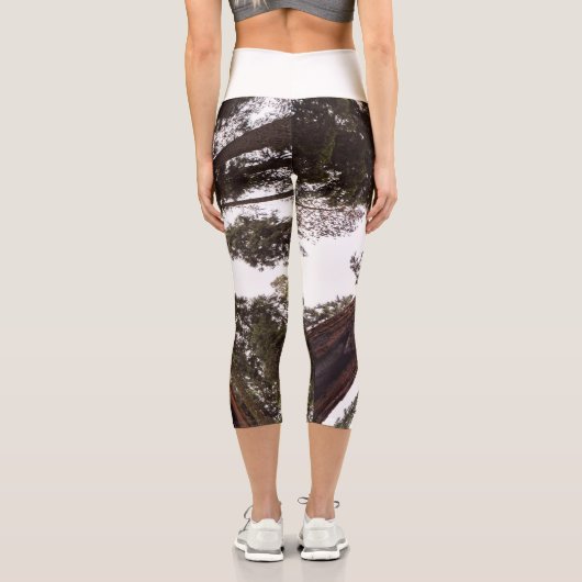 Wald, Baum Capri Leggings (Rückseite)