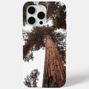 Wald, Baum Case-Mate iPhone Hülle