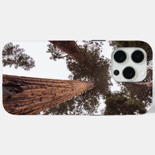 Wald, Baum Case-Mate iPhone Hülle (Rückseite (Horizontal))