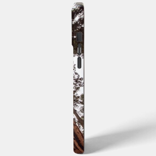 Wald, Baum Case-Mate iPhone Hülle (Rückseite / Links)