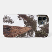 Wald, Baum Case-Mate iPhone Hülle (Rückseite (Horizontal))