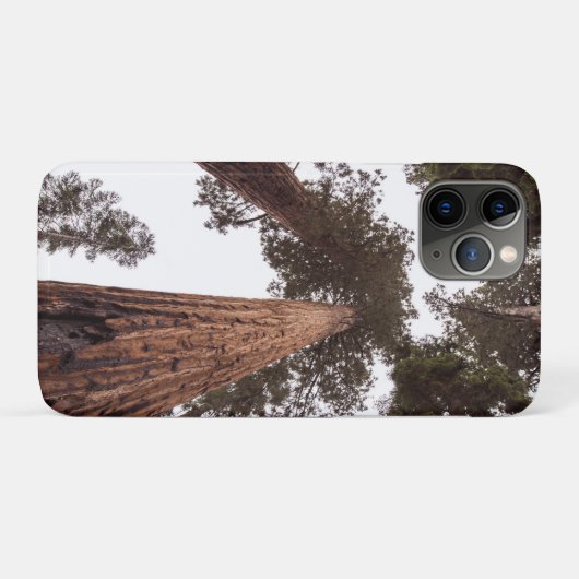 Wald, Baum Case-Mate iPhone Hülle (Rückseite (Horizontal))