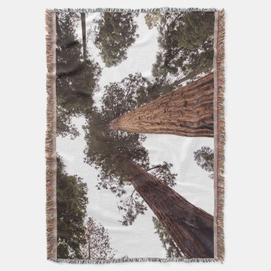 Wald, Baum Decke (Vorderseite Vertikal)