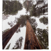 Wald, Baum Duschvorhang (Vorderseite)