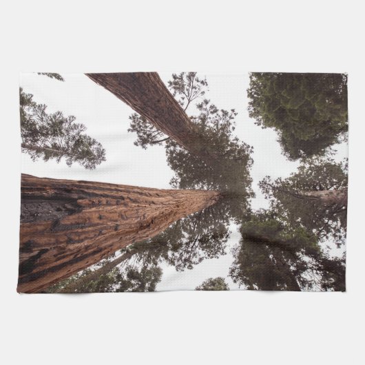 Wald, Baum Geschirrtuch (Horizontal)