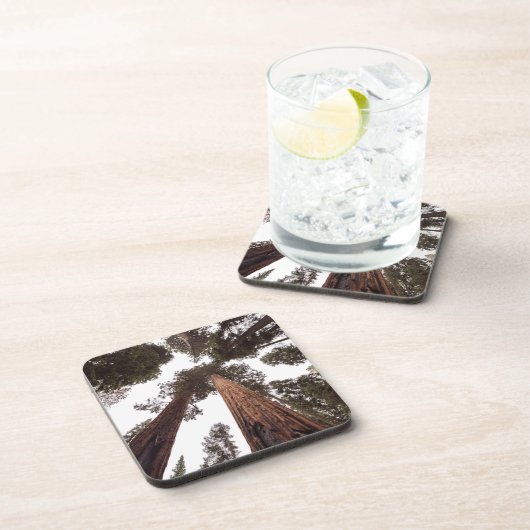 Wald, Baum Getränkeuntersetzer (Rechte Seite)