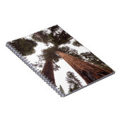 Wald, Baum Notizblock (Rechte Seite)