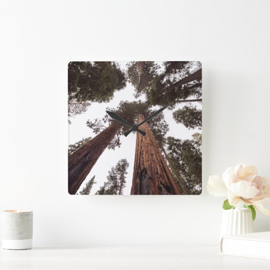 Wald, Baum Quadratische Wanduhr (Zuhause)