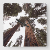 Wald, Baum Quadratische Wanduhr (Vorderseite)