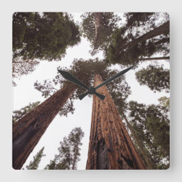 Wald, Baum Quadratische Wanduhr