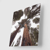 Wald, Baum Quadratische Wanduhr (Winkel)