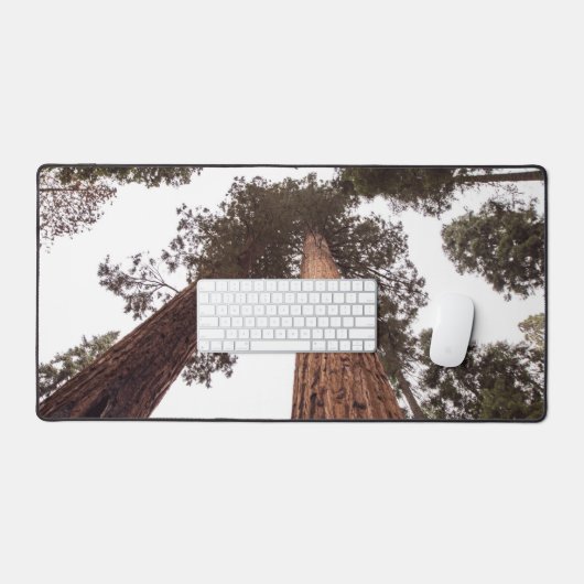 Wald, Baum Schreibtischunterlage (Tastatur & Maus)