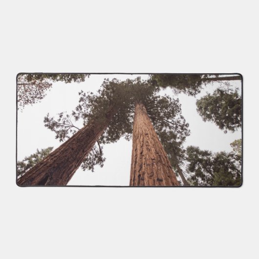 Wald, Baum Schreibtischunterlage (Vorderseite)