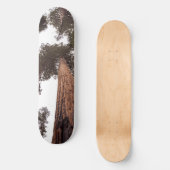 Wald, Baum Skateboard (Vorderseite)