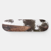 Wald, Baum Skateboard (Horizontal)