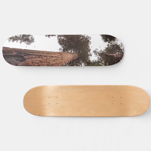 Wald, Baum Skateboard (Horizontal)