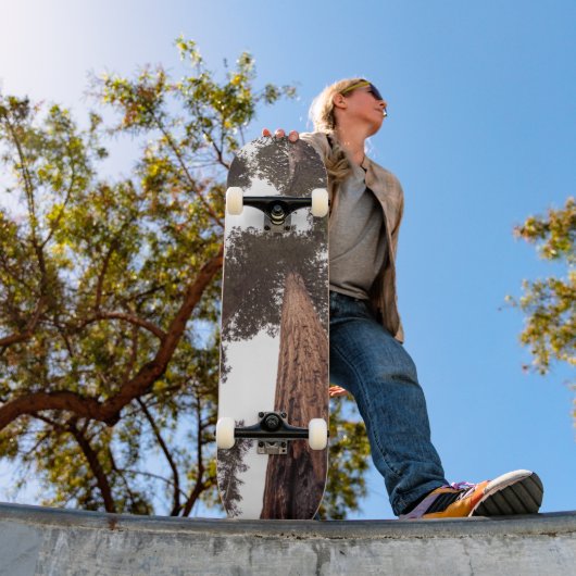 Wald, Baum Skateboard (Außen 1)