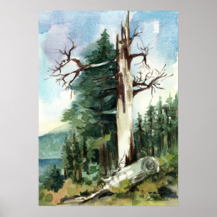 Wald Baum Wanderweg Bergblick Poster