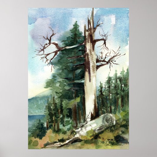 Wald Baum Wanderweg Bergblick Poster (Vorne)