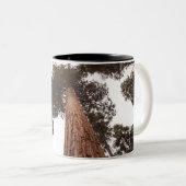 Wald, Baum Zweifarbige Tasse (VorderseiteRechts)
