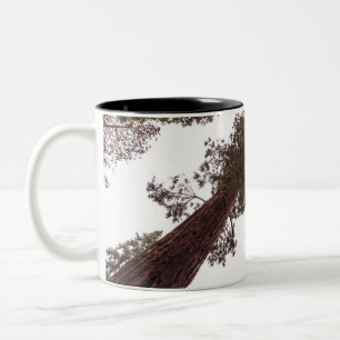 Wald, Baum Zweifarbige Tasse