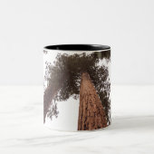Wald, Baum Zweifarbige Tasse (Mittel)