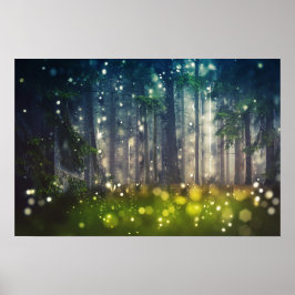 Wald, Bäume auf Waldlichtung, Dämmerung Poster