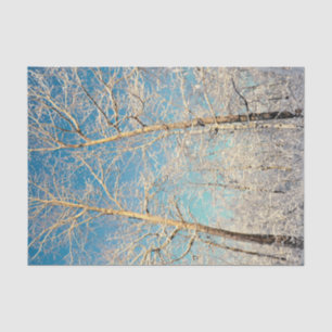 Wald Bäume Blauer Himmel Winterwald Seidenpapier