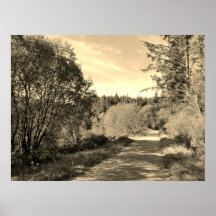 Wald Bäume entlang Spazierweg Herrliche Tag Poste