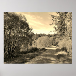 Wald Bäume entlang Spazierweg Herrliche Tag Poste Poster