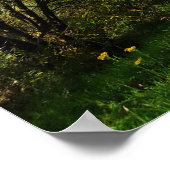 Wald Bäume entlang Spazierweg Schöner Tag Poster (Ecke)