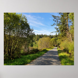Wald Bäume entlang Spazierweg Schöner Tag Poster