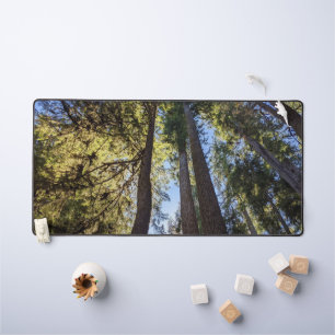 Wald Bäume Landschaft Schreibtischunterlage