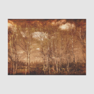 Wald Bäume Vintage Grunge Rustikale Textur Wolken Seidenpapier