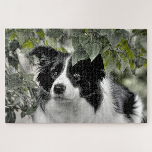 Wald Border Collie 1014 Teile Puzzle (Horizontal)